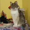 Отзыв от Венера Корнилова